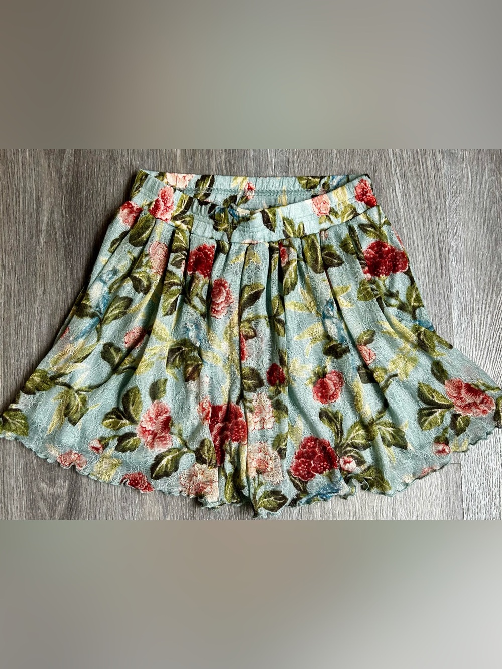 Denim & Supply Ralph Lauren Blue Floral Circle Skirt w/Red & Pink Roses Size XS